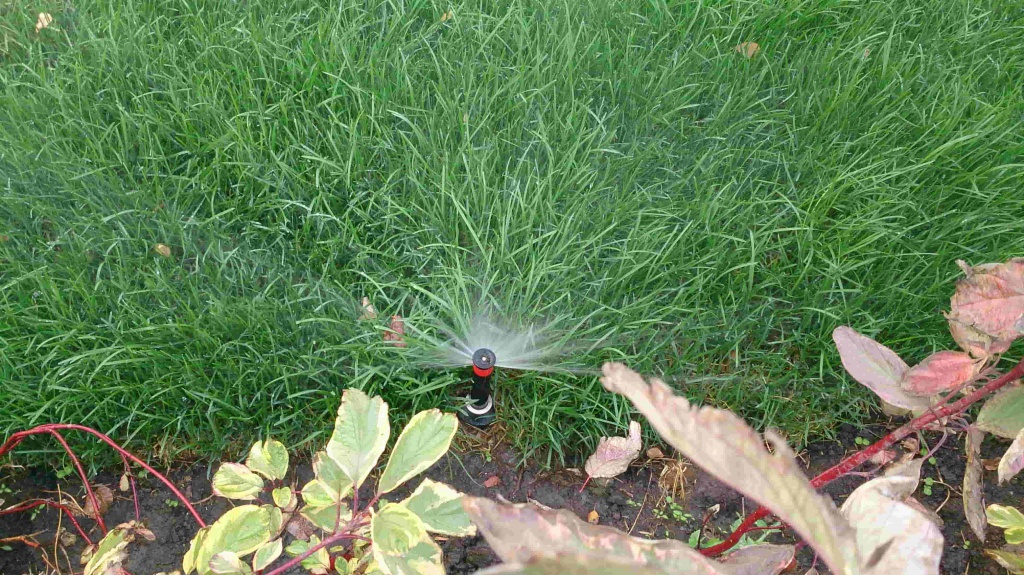 Дождеватель на уровне земли